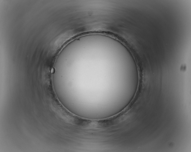 X0000111501265200907141304
