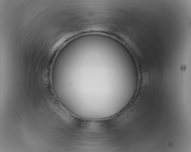 X0000111501266200907141304