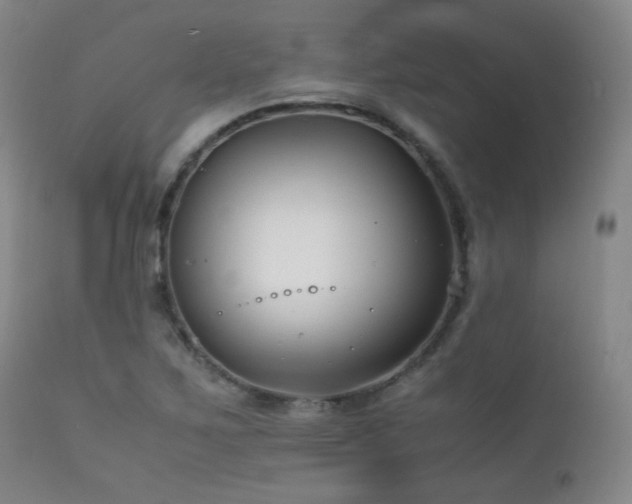 X0000111501267200907141304