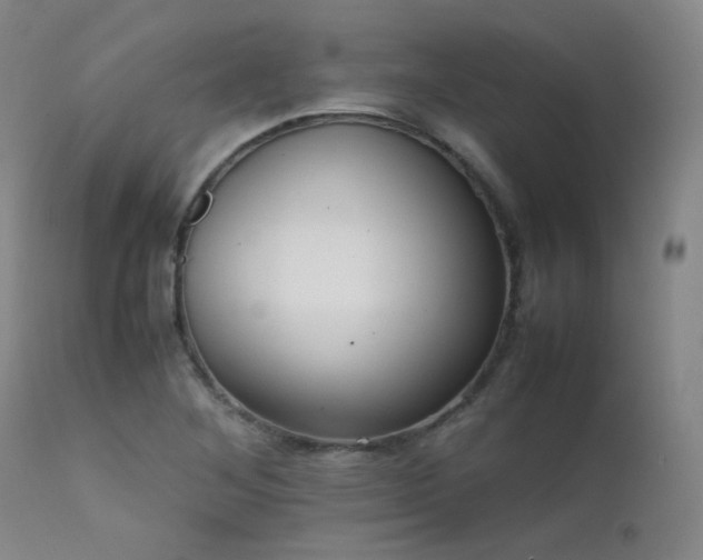 X0000111501268200907141304