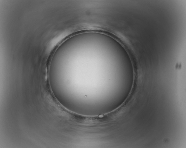 X0000111501269200907141304