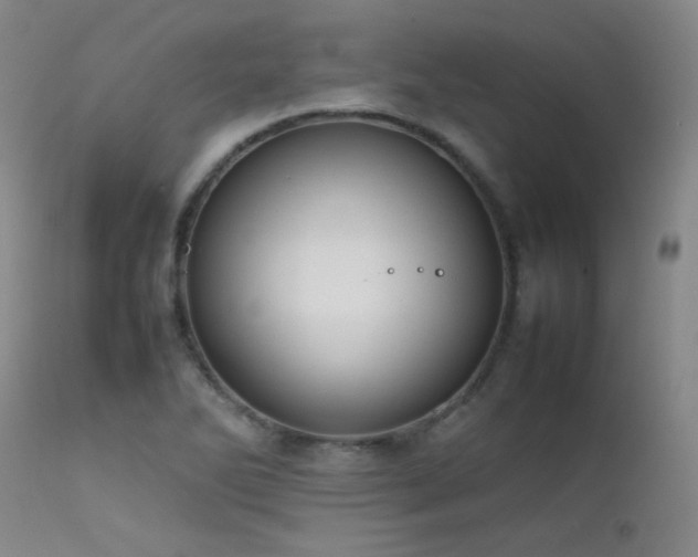 X0000111501270200907141304