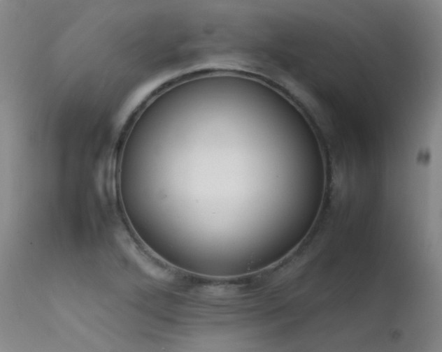 X0000111501272200907141304