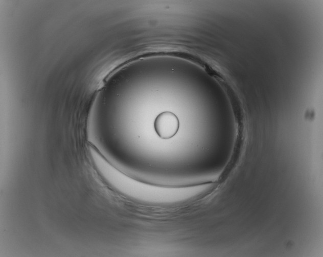 X0000111501273200907141304