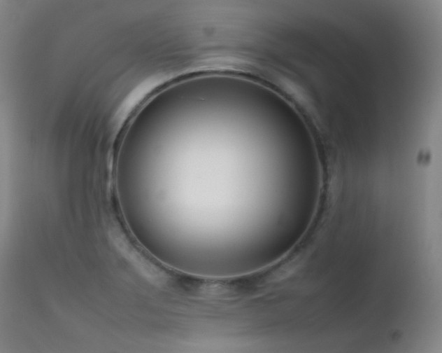 X0000111501275200907141304