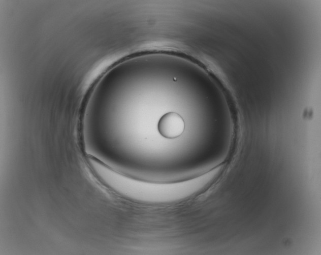X0000111501277200907141304