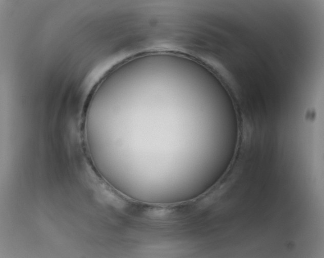 X0000111501278200907141304