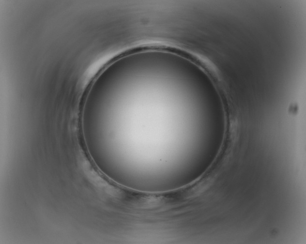 X0000111501279200907141304