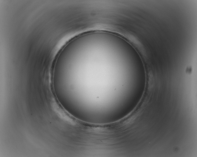 X0000111501280200907141304
