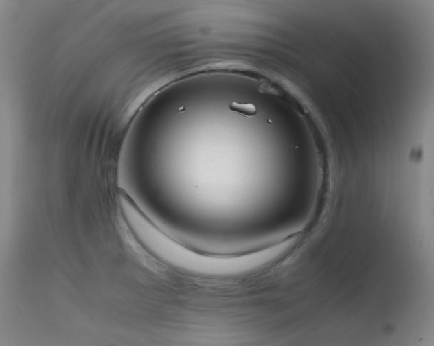 X0000111501281200907141304