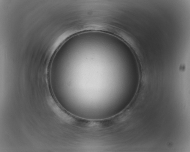 X0000111501283200907141303