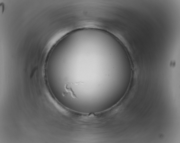 X0000111501285200907141303
