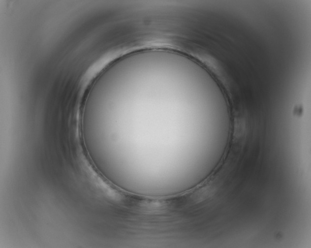 X0000111501286200907141303