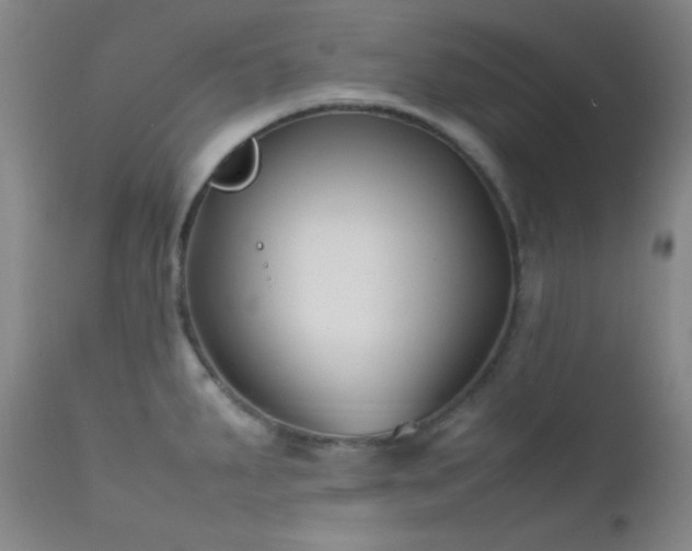 X0000111501287200907141303