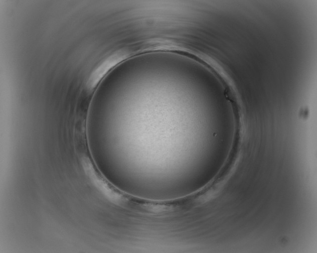 X0000111501289200907141303