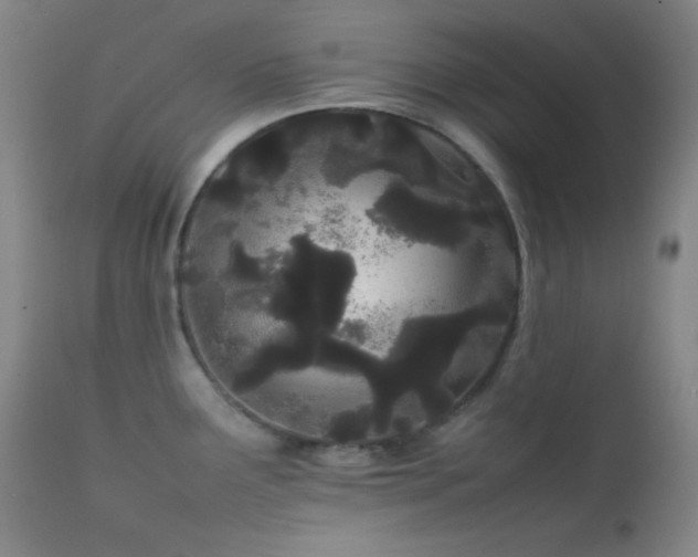 X0000111501291200907141303
