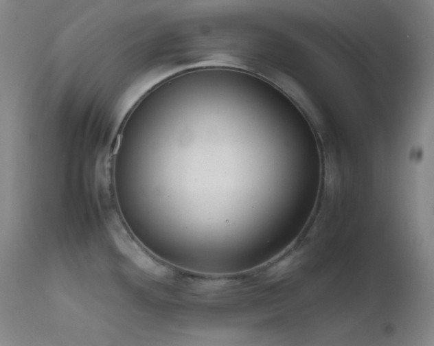 X0000111501292200907141303