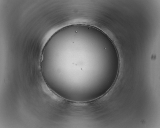 X0000111501296200907141303