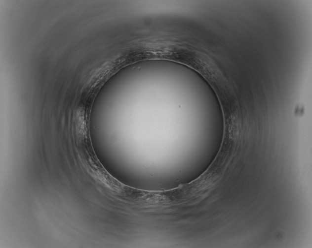 X0000111501298200907141303