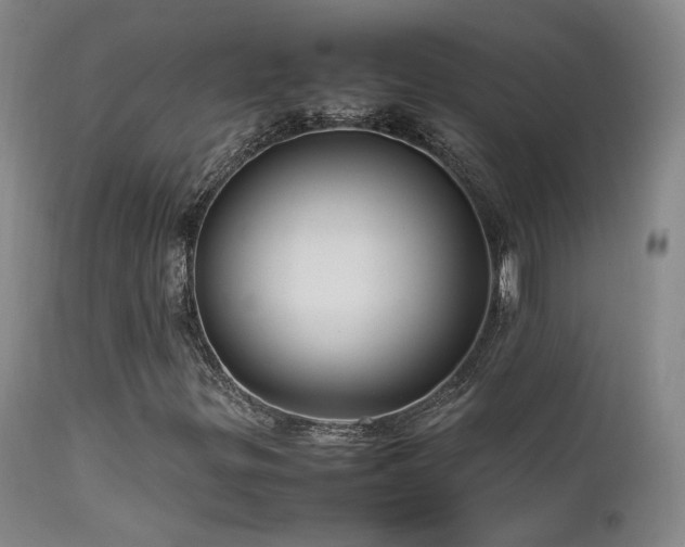 X0000111501299200907141303