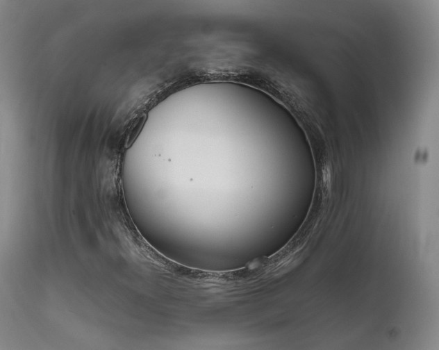 X0000111501300200907141303
