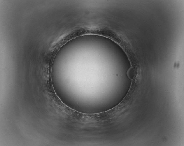 X0000111501301200907141303