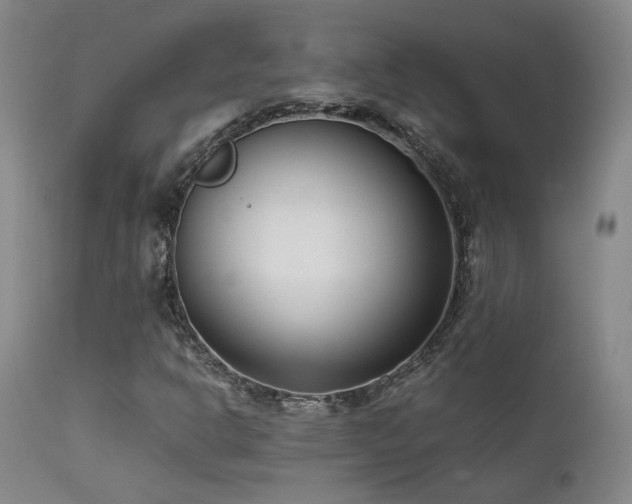 X0000111501302200907141303