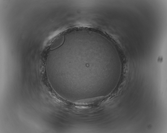 X0000111501303200907141303