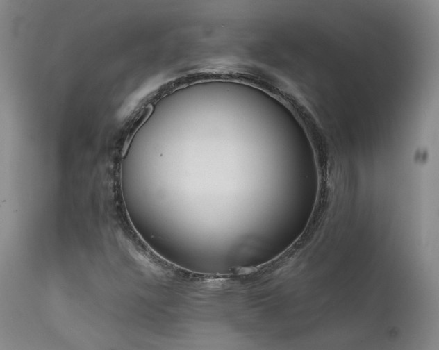 X0000111501304200907141303