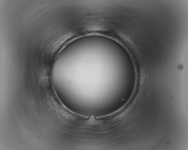 X0000111501305200907141303