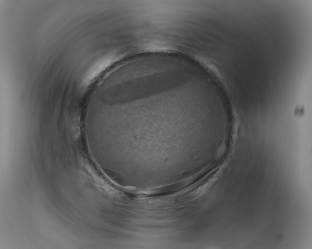 X0000111501306200907141303