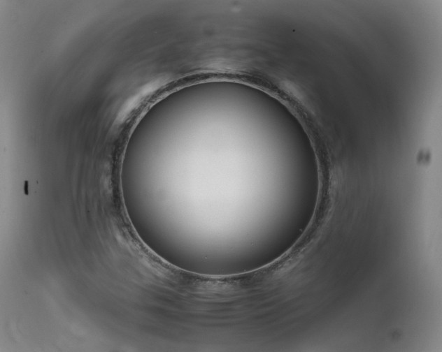 X0000111501307200907141303