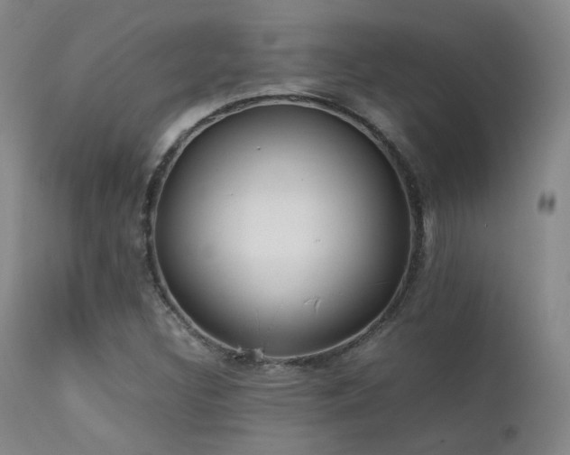 X0000111501308200907141303