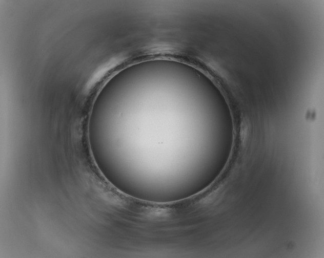 X0000111501309200907141303