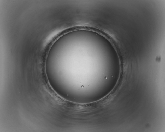 X0000111501311200907141303