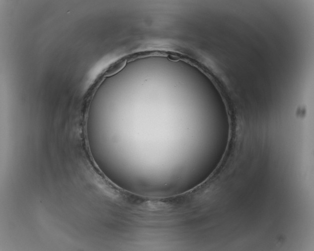 X0000111501312200907141303