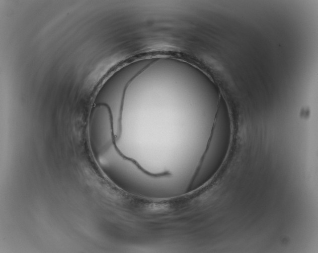 X0000111501313200907141303