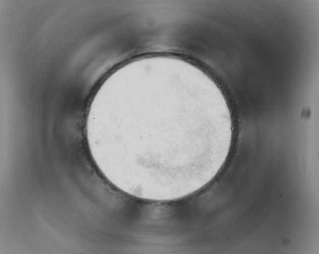 X0000111501314200907141303