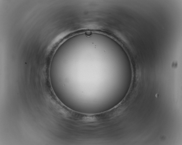 X0000111501315200907141303