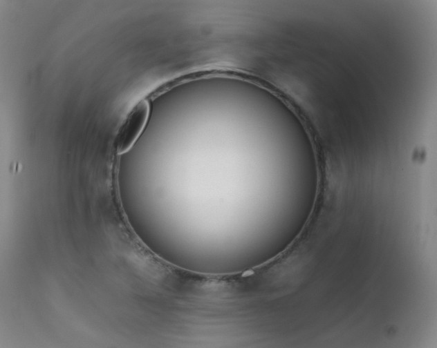 X0000111501316200907141303