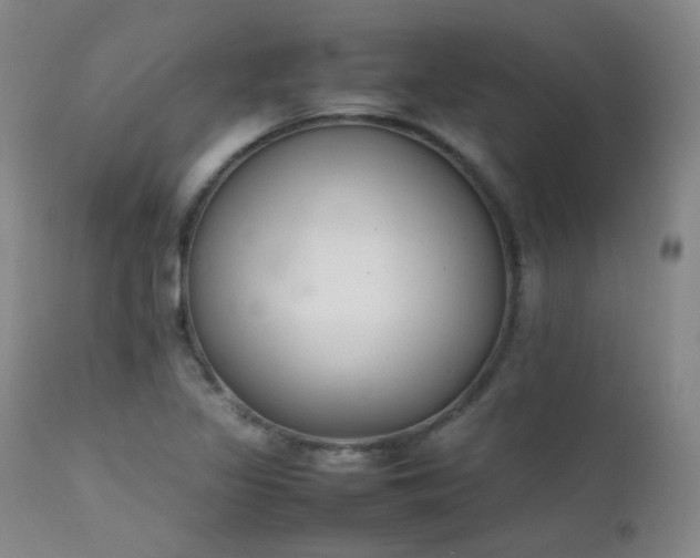 X0000111501317200907141303