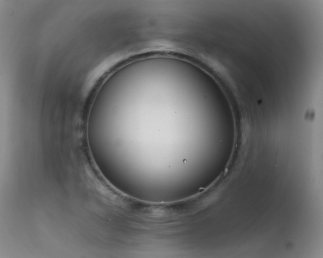 X0000111501318200907141303