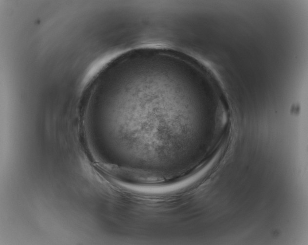 X0000111501319200907141303