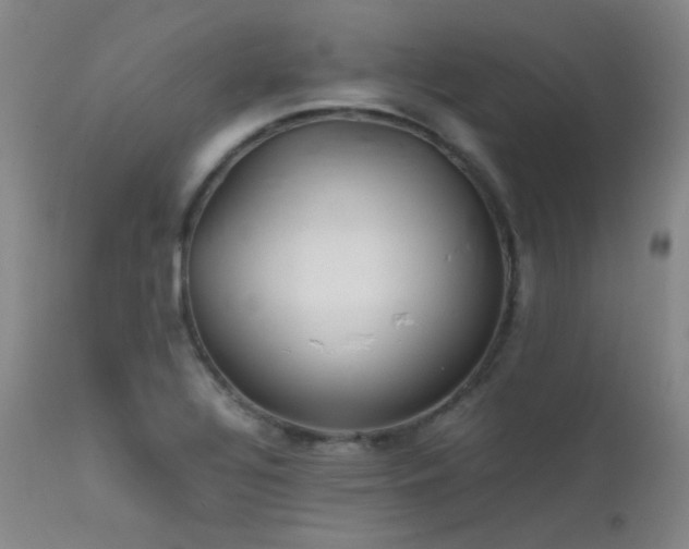 X0000111501320200907141303