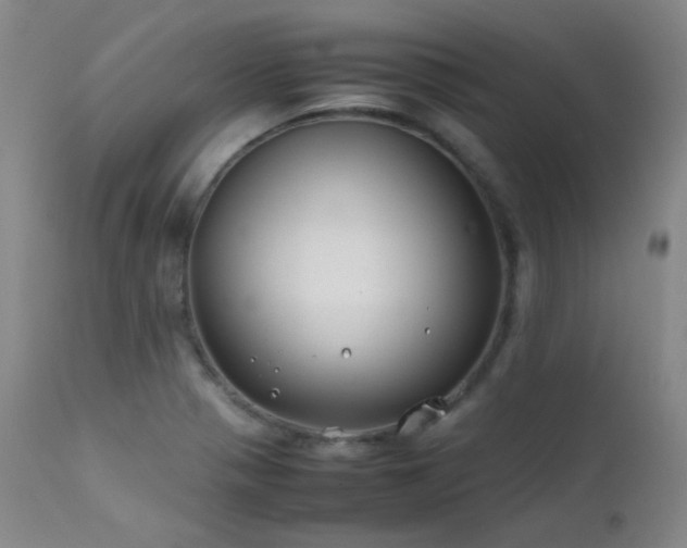 X0000111501321200907141303