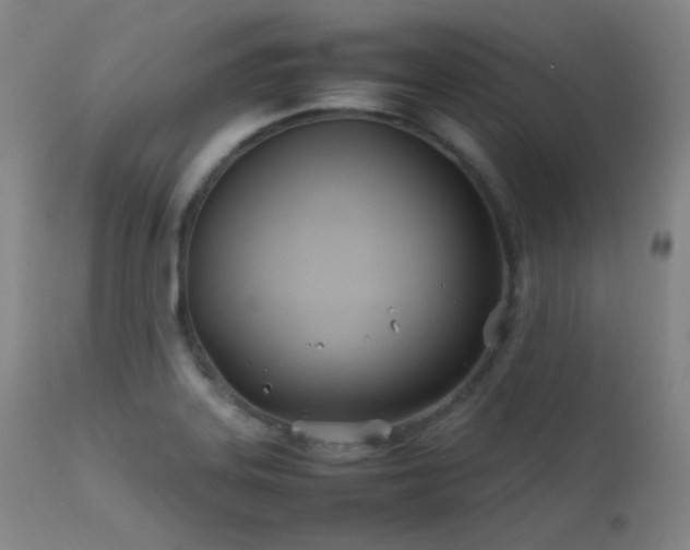 X0000111501323200907141303
