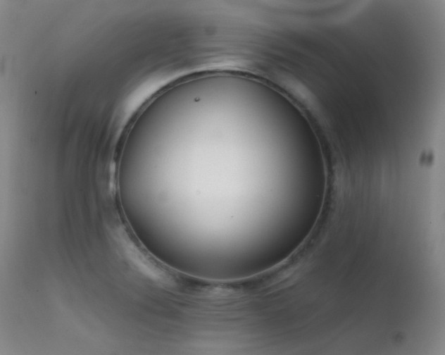 X0000111501324200907141303