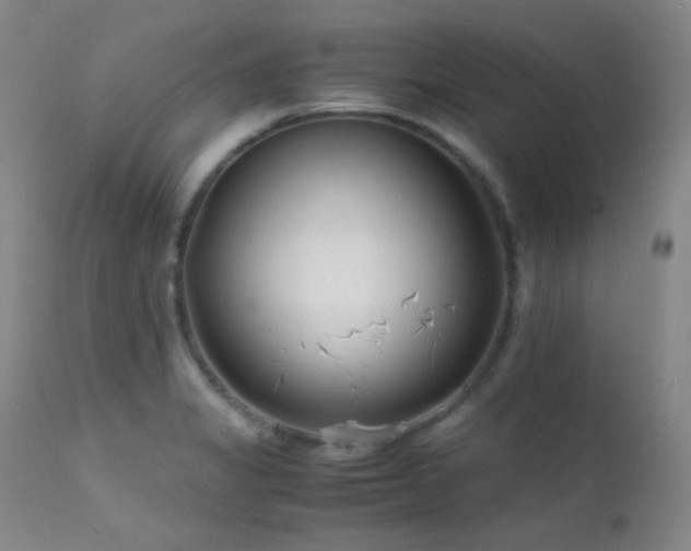 X0000111501325200907141303