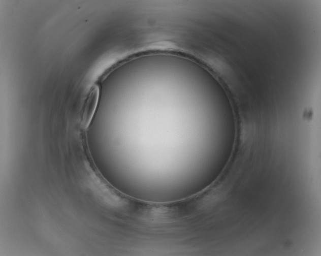 X0000111501326200907141303