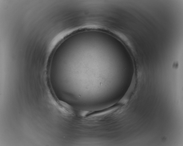 X0000111501327200907141303